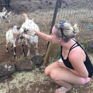 Socializing with the goats!