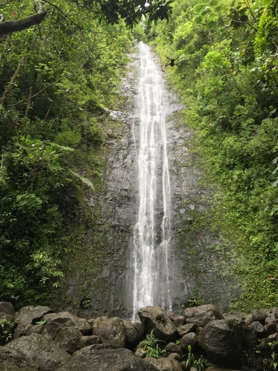 Manoa Falls Hike